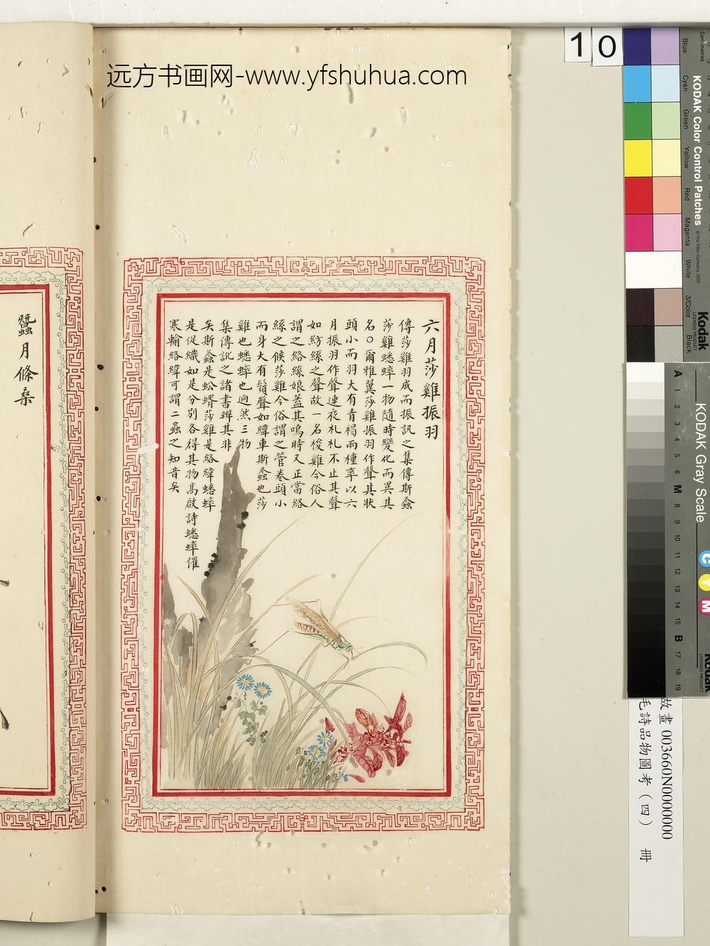 毛诗品物图考（四）册-六月莎鸡振羽-