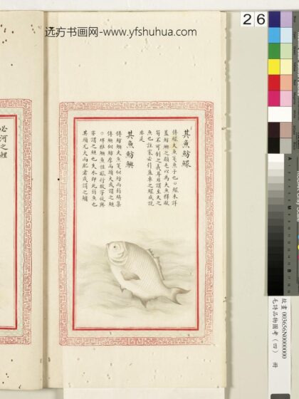 毛诗品物图考（四）册 其鱼鲂鳏其鱼鲂鱮 1.jpg
