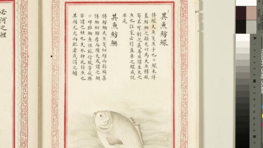 毛诗品物图考（四）册 其鱼鲂鳏其鱼鲂鱮 1.jpg