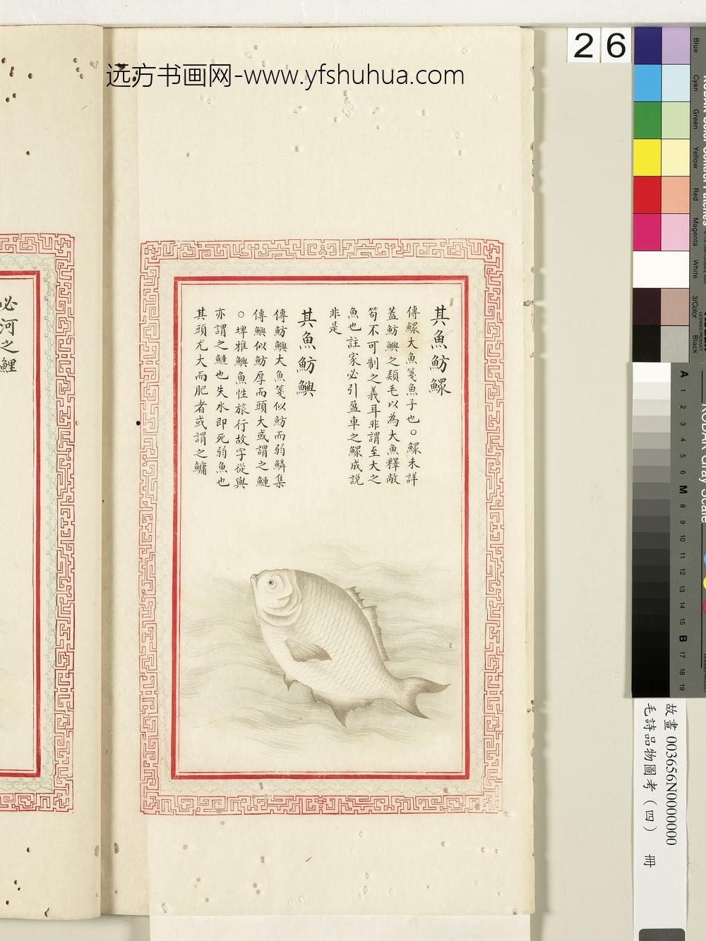 毛诗品物图考（四）册-其鱼鲂鳏其鱼鲂鱮-