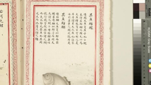 毛诗品物图考（四）册 其鱼鲂鳏其鱼鲂鱮 2.jpg