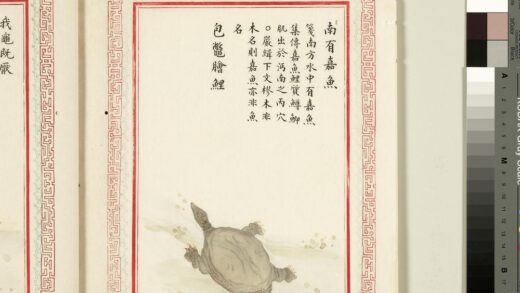 毛诗品物图考（四）册 南有嘉鱼包鳖脍鲤 1.jpg