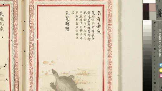 毛诗品物图考（四）册 南有嘉鱼包鳖脍鲤 2.jpg