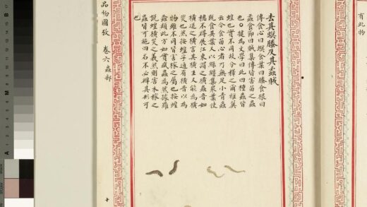 毛诗品物图考（四）册 去其螟螣及其蟊贼 1.jpg