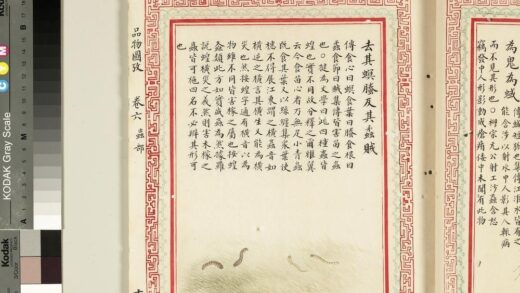 毛诗品物图考（四）册 去其螟螣及其蟊贼 2.jpg