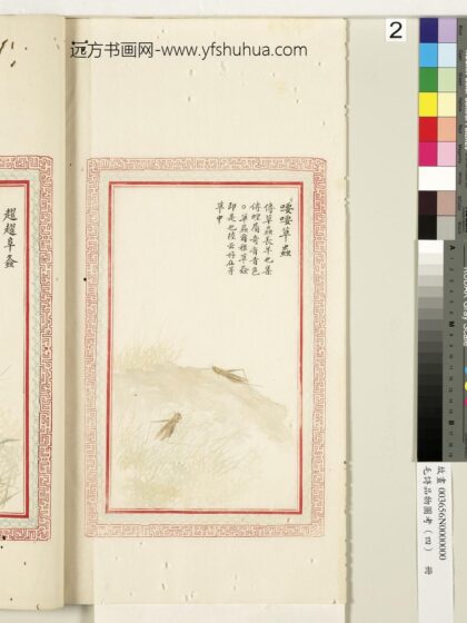 毛诗品物图考（四）册 喓喓草虫 1.jpg