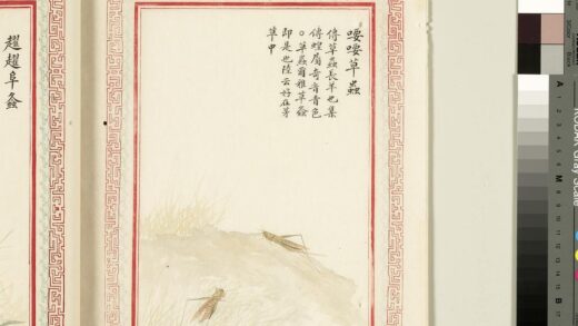 毛诗品物图考（四）册 喓喓草虫 1.jpg