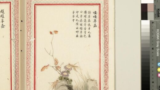 毛诗品物图考（四）册 喓喓草虫 2.jpg