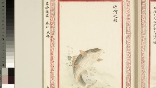 毛诗品物图考（四）册 必河之鲤 1.jpg