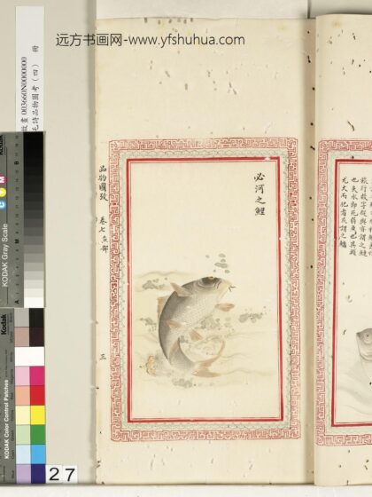 毛诗品物图考（四）册 必河之鲤 2.jpg