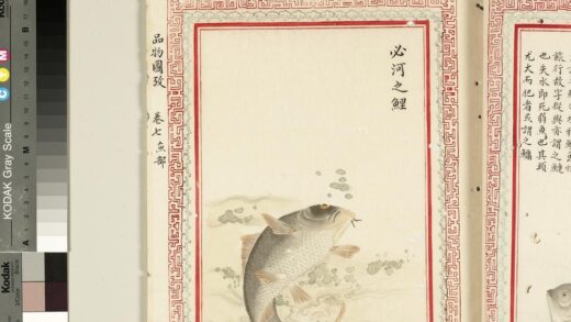 毛诗品物图考（四）册 必河之鲤 2.jpg