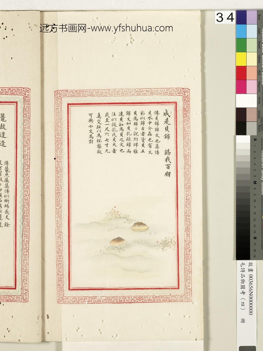 毛诗品物图考（四）册-成是贝锦锡我百朋-