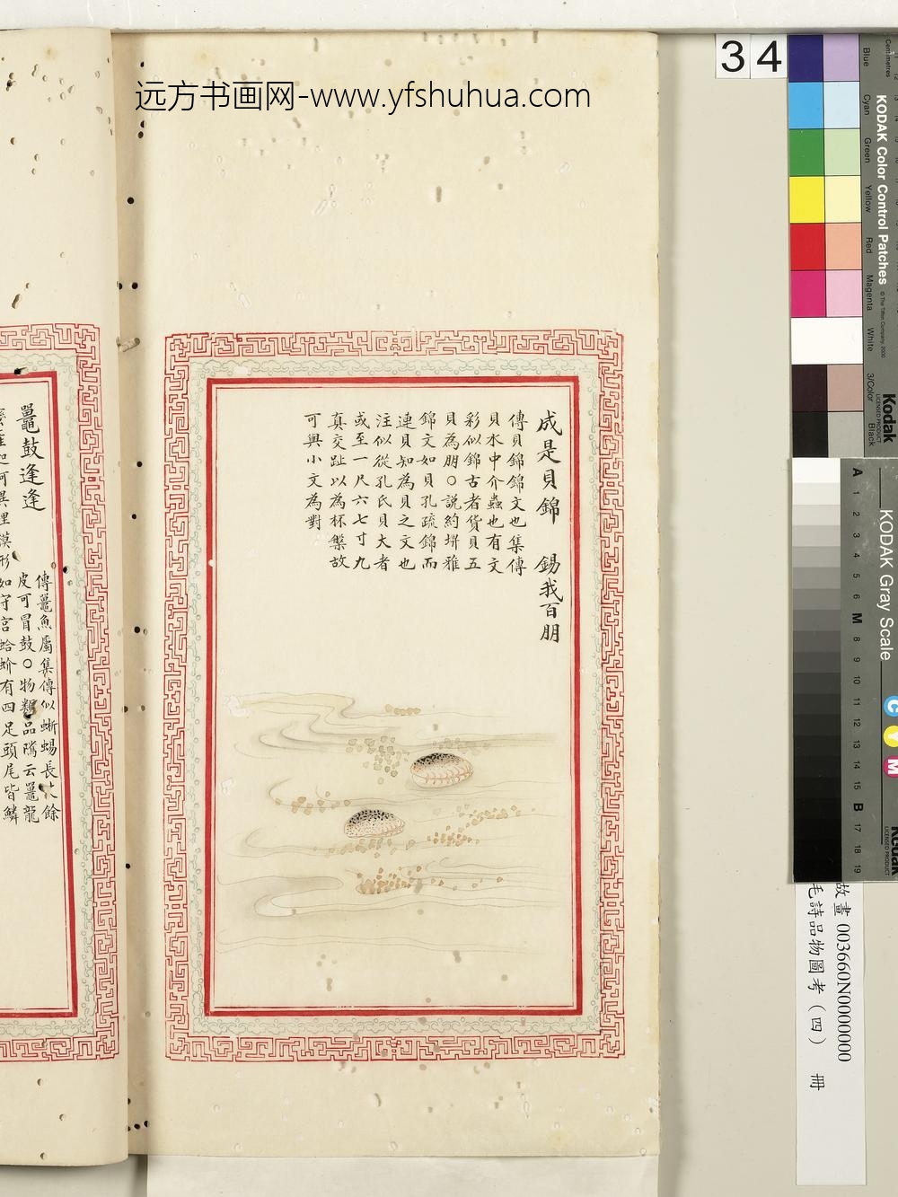 毛诗品物图考（四）册-成是贝锦锡我百朋-