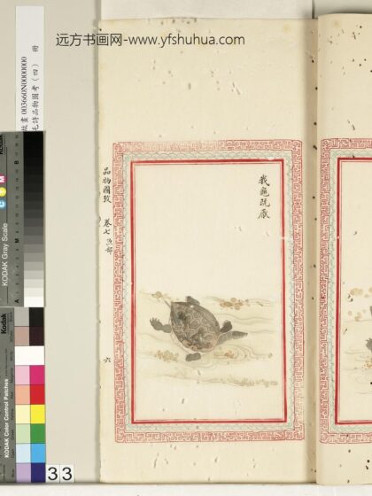 毛诗品物图考（四）册 我龟既厌 2.jpg