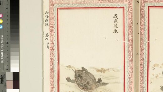 毛诗品物图考（四）册 我龟既厌 2.jpg