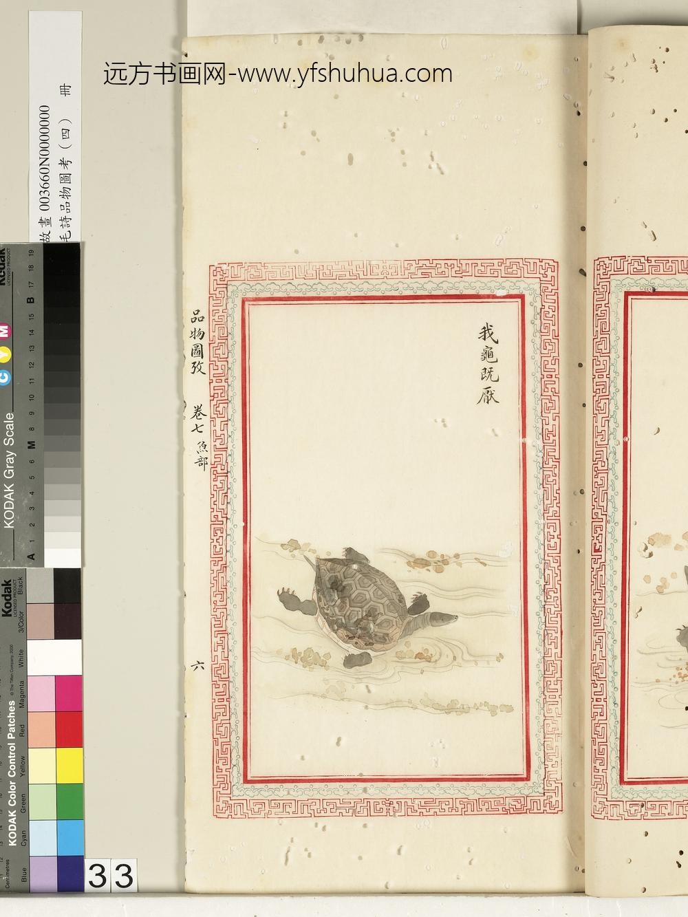 毛诗品物图考（四）册-我龟既厌-