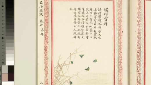 毛诗品物图考（四）册 熠耀宵行 1.jpg