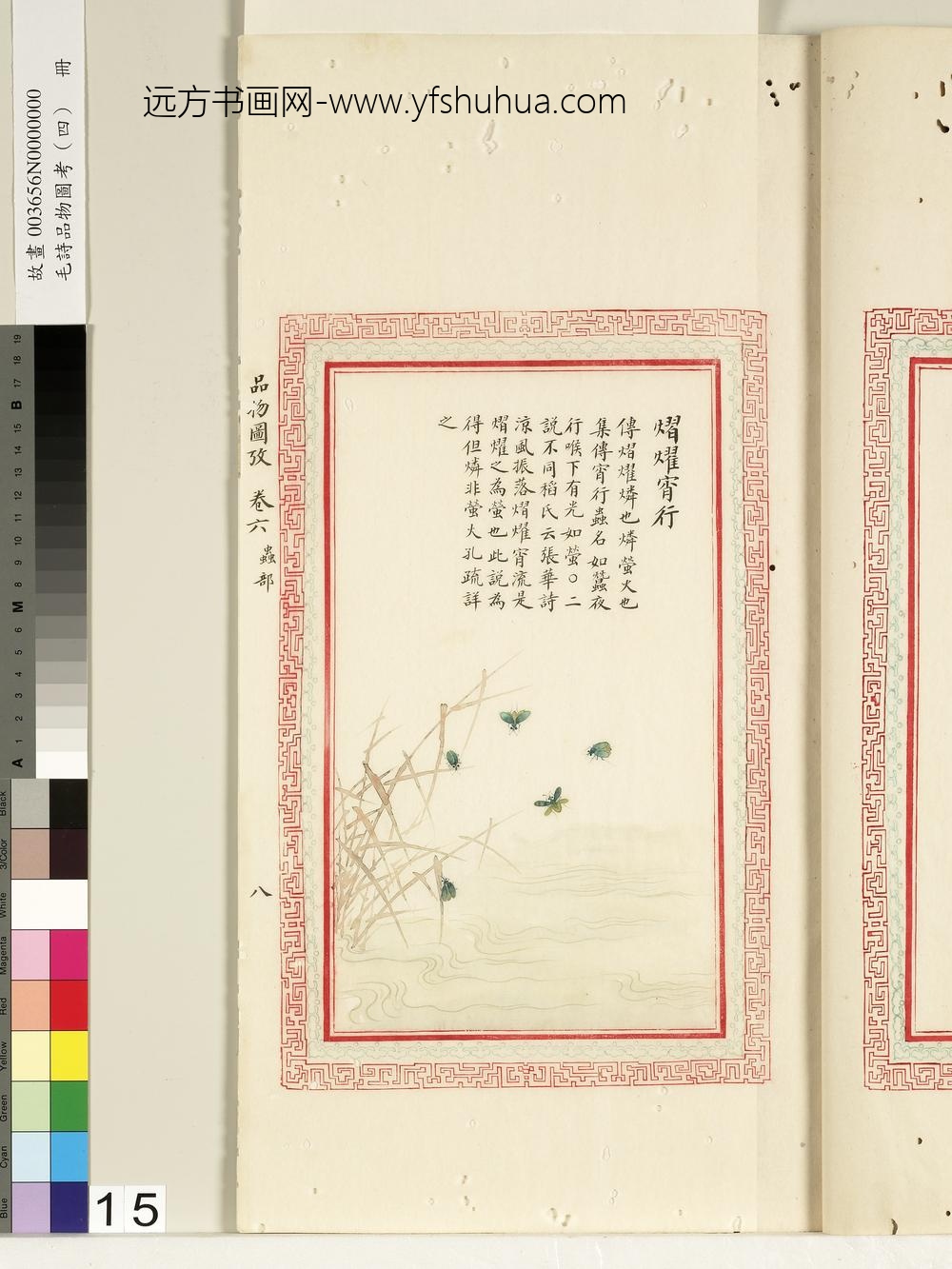 毛诗品物图考（四）册-熠耀宵行-