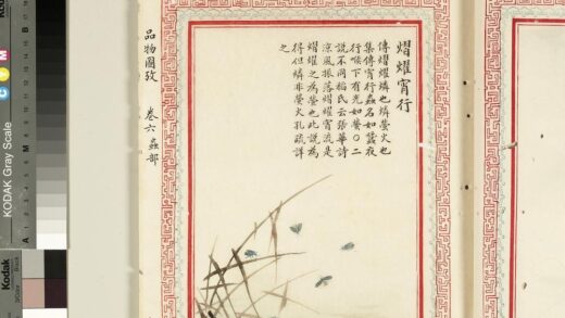 毛诗品物图考（四）册 熠耀宵行 2.jpg