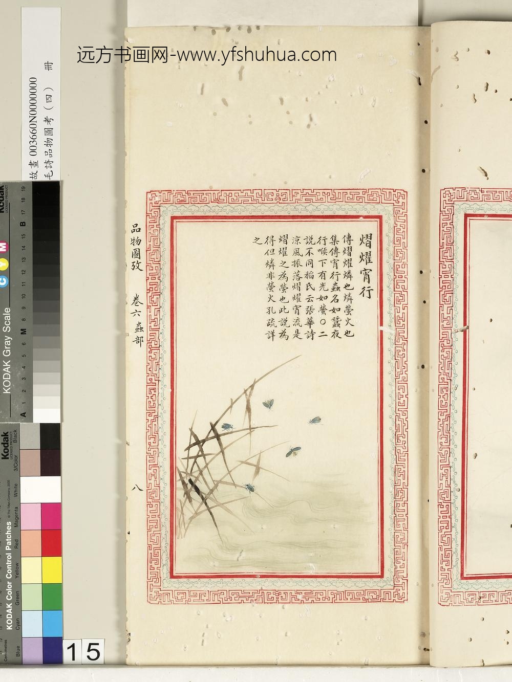 毛诗品物图考（四）册-熠耀宵行-