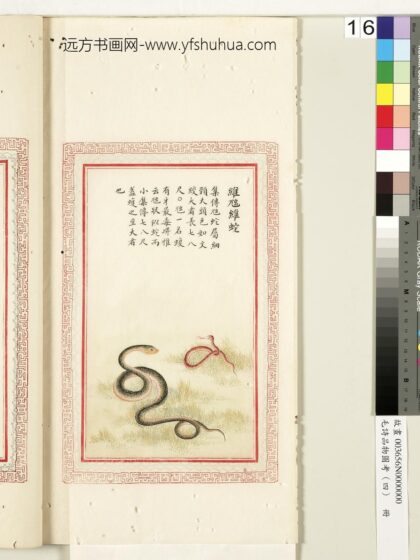 毛诗品物图考（四）册 维虺维蛇 1.jpg
