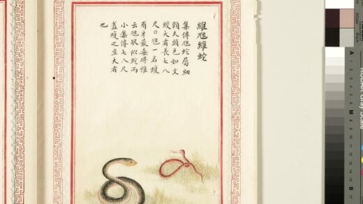 毛诗品物图考（四）册 维虺维蛇 1.jpg