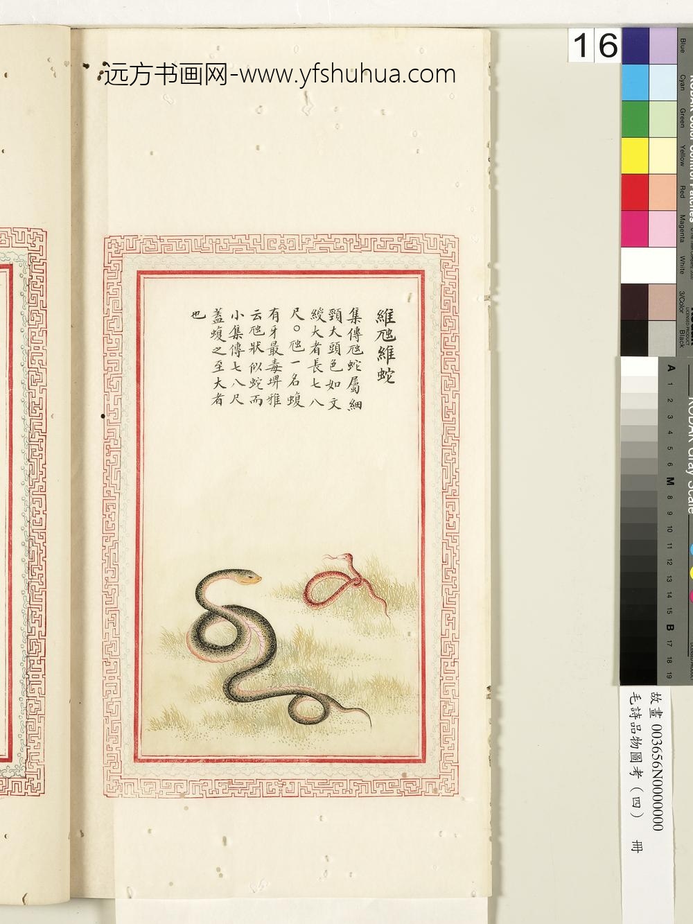 毛诗品物图考（四）册-维虺维蛇-