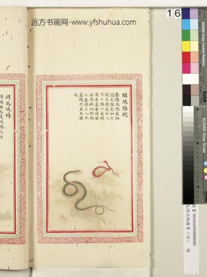 毛诗品物图考（四）册 维虺维蛇 2.jpg