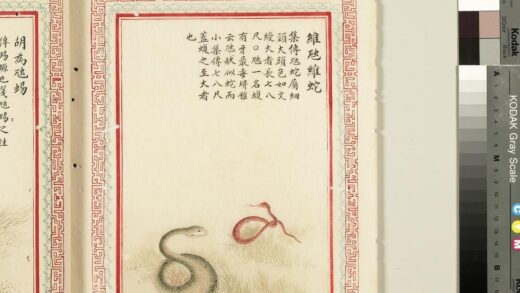 毛诗品物图考（四）册 维虺维蛇 2.jpg
