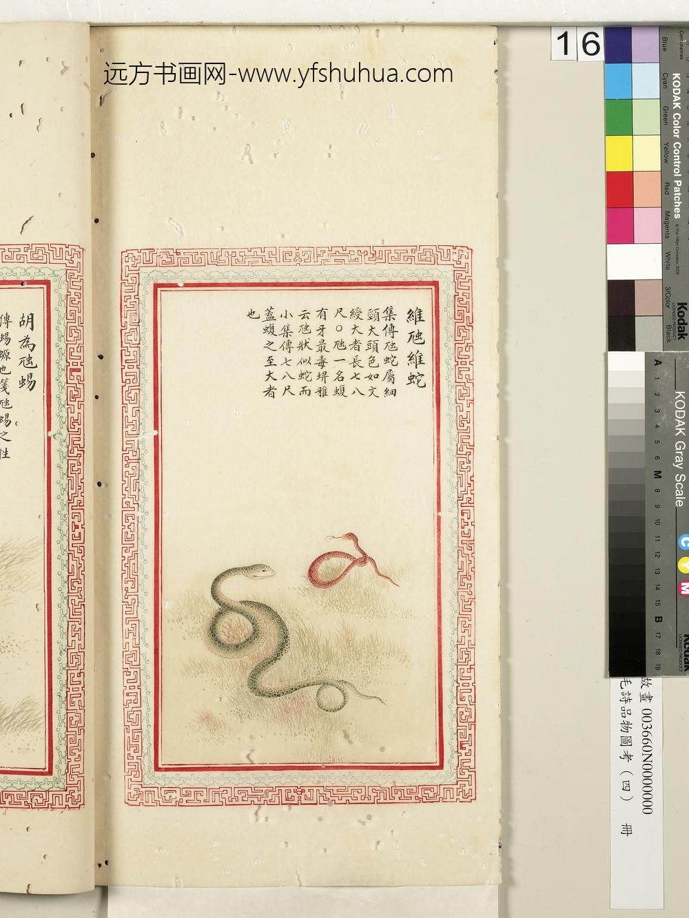 毛诗品物图考（四）册-维虺维蛇-