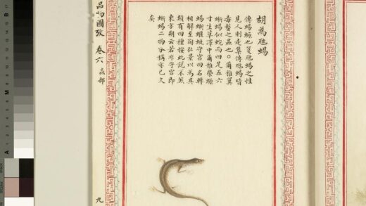 毛诗品物图考（四）册 胡为虺蜴 1.jpg