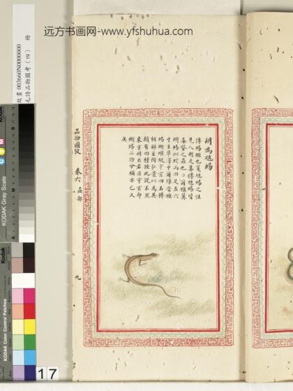 毛诗品物图考（四）册 胡为虺蜴 2.jpg