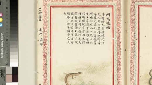 毛诗品物图考（四）册 胡为虺蜴 2.jpg