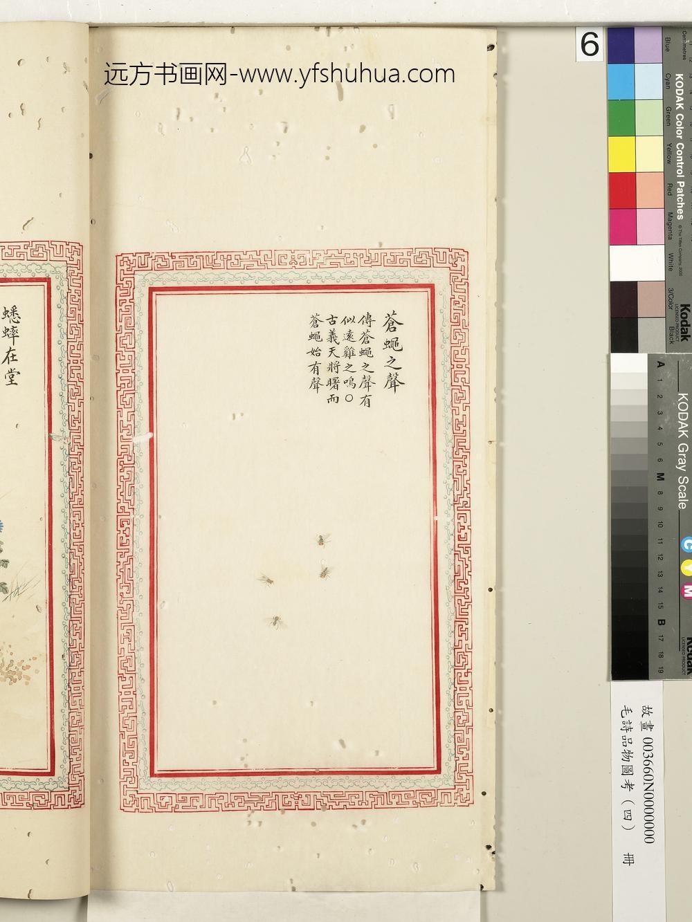 毛诗品物图考（四）册-苍蝇之声-