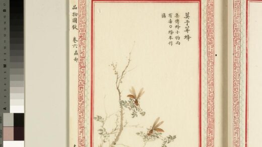 毛诗品物图考（四）册 莫予荓蜂 1.jpg