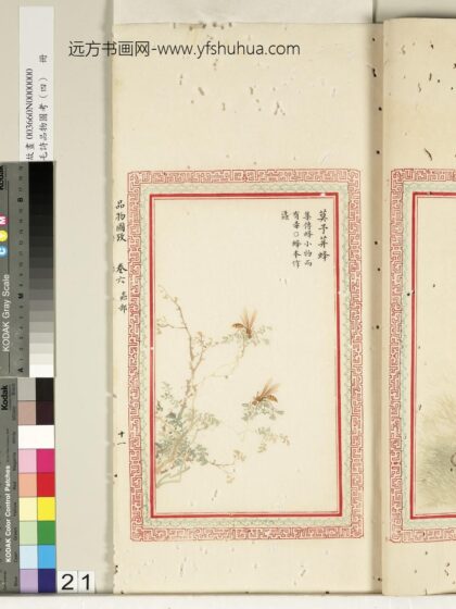 毛诗品物图考（四）册 莫予荓蜂 2.jpg