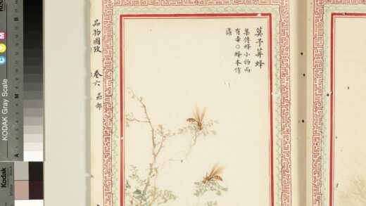 毛诗品物图考（四）册 莫予荓蜂 2.jpg
