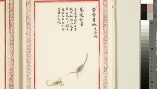毛诗品物图考（四）册 营营青蝇卷发如虿 1.jpg