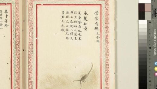 毛诗品物图考（四）册 营营青蝇卷发如虿 2.jpg