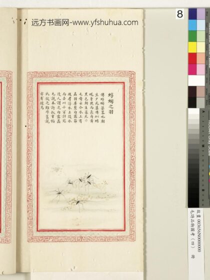 毛诗品物图考（四）册 蜉蝣之羽 1.jpg