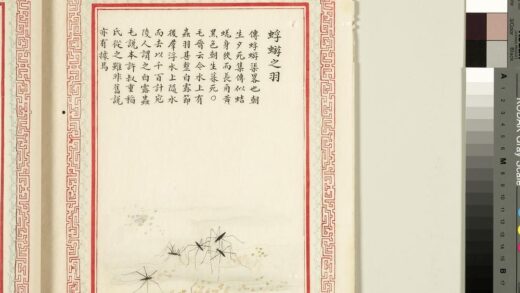 毛诗品物图考（四）册 蜉蝣之羽 1.jpg