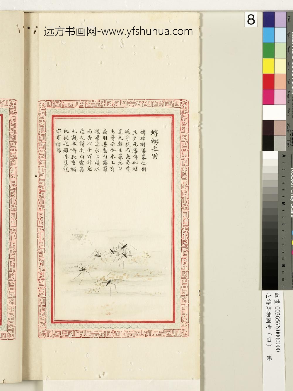 毛诗品物图考（四）册-蜉蝣之羽-