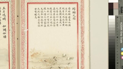 毛诗品物图考（四）册 蜉蝣之羽 2.jpg