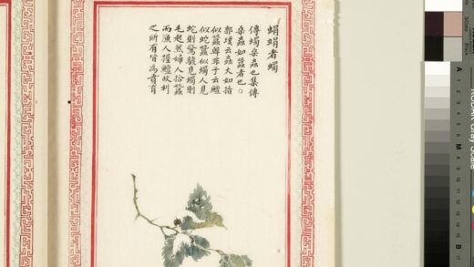 毛诗品物图考（四）册 蜎蜎者蠋 1.jpg