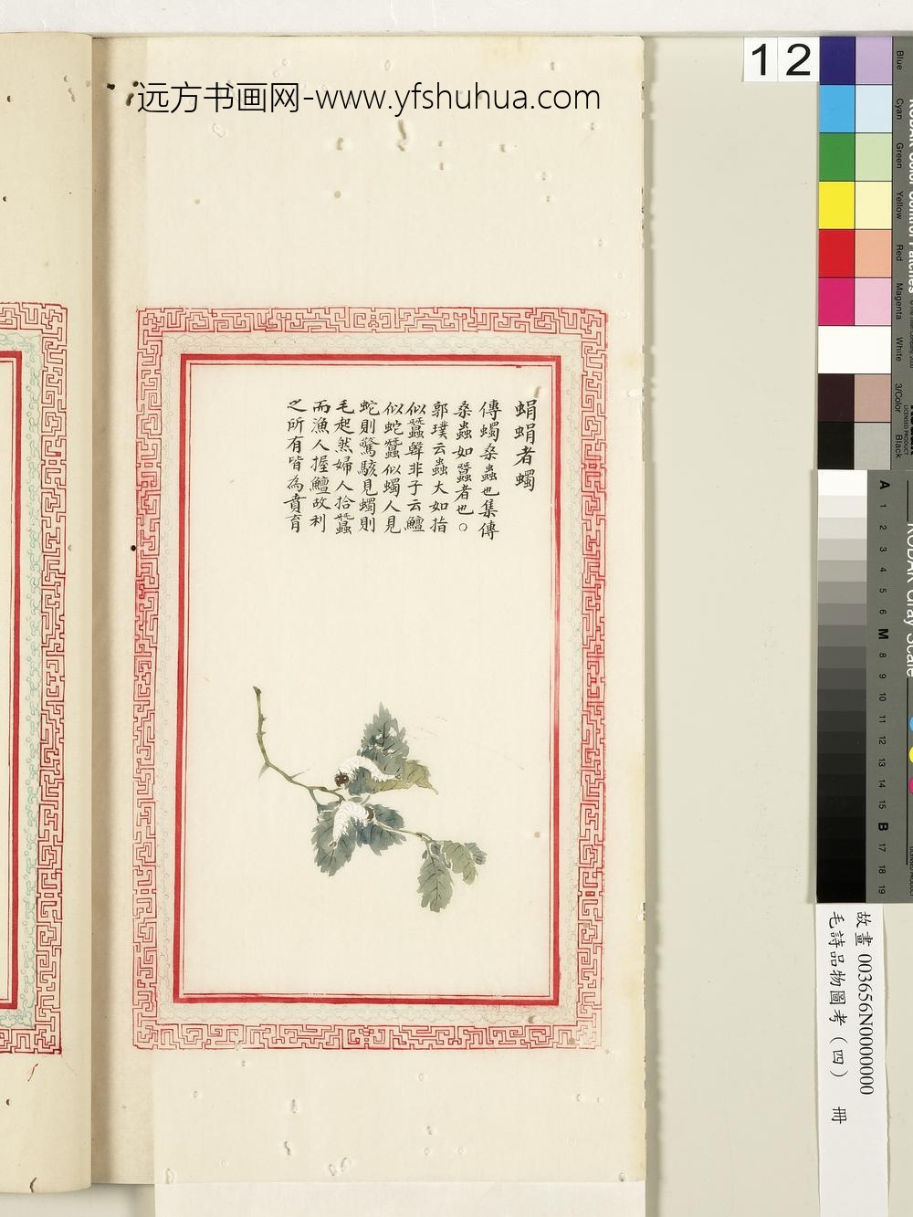 毛诗品物图考（四）册-蜎蜎者蠋-
