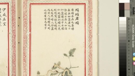 毛诗品物图考（四）册 蜎蜎者蠋 2.jpg