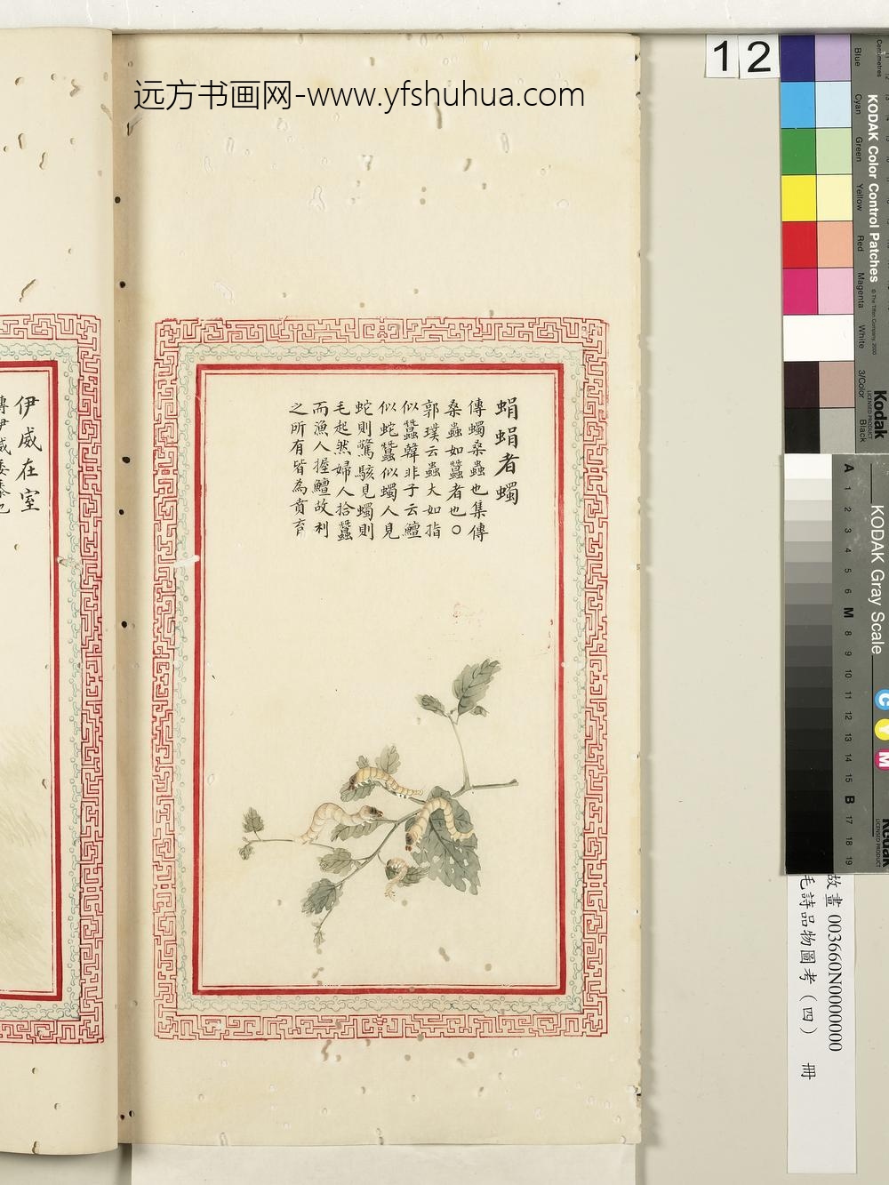 毛诗品物图考（四）册-蜎蜎者蠋-