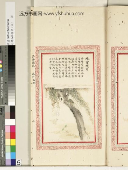 毛诗品物图考（四）册 螓首蛾眉 2.jpg