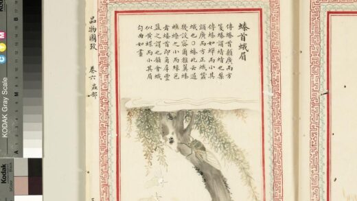 毛诗品物图考（四）册 螓首蛾眉 2.jpg