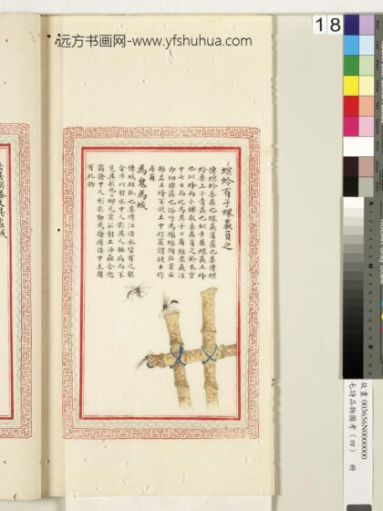 毛诗品物图考（四）册 螟蛉有子蜾蠃负之为鬼为蜮 1.jpg